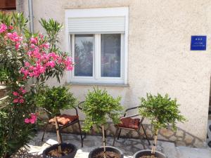 Zahrada ubytování Apartmani Tatić Štinjan