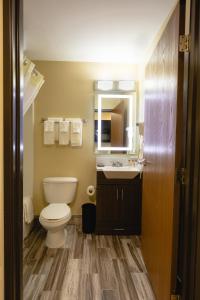 Hawthorn Extended Stay by Wyndham Saint Robert的一间浴室