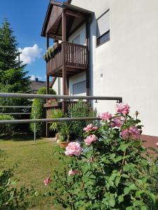 a balcony with pink flowers in front of a building at Galerie-Apartment in Wendelstein