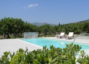 - une piscine avec 2 chaises longues et des arbres dans l'établissement B&B Sole, à Trappitello