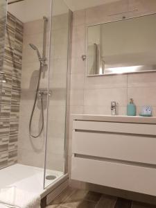 uma casa de banho com um chuveiro, um lavatório e um espelho. em Nata em Korčula