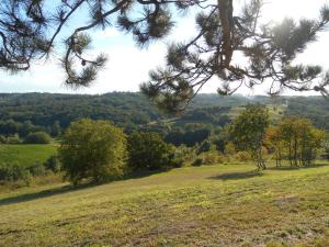 Afbeelding uit fotogalerij van Chambres d'Hôtes Lieu Dit Cruzel in Moissac
