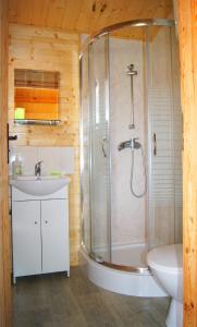 a bathroom with a shower and a sink and a toilet at Domki Letniskowe ,,Tęcza" in Rusinowo