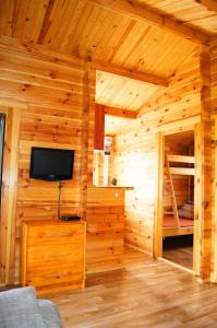 a log cabin with a television and a bunk bed at Domki Letniskowe ,,Tęcza" in Rusinowo