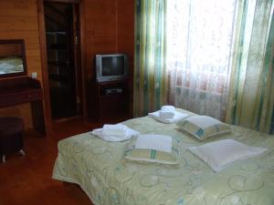 Zimmer mit einem Bett und einem TV in der Unterkunft Girska Khatynka in Slawske