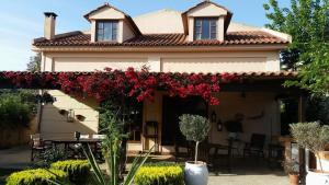 una casa con flores rojas en el patio delantero en Rafina great feeling villa, en Rafina
