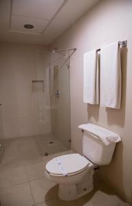 y baño con aseo, ducha y toallas. en Hotel Madrid Minatitlán, en Minatitlán