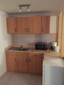 a kitchen with wooden cabinets and a sink and a microwave at Springer-Apartment-1215 in Kurort Oberwiesenthal