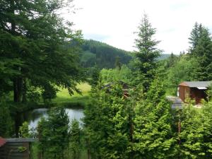 Príroda v okolí chaty v prírode