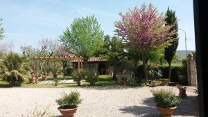 Vonkajšia záhrada v ubytovaní Villa San marco