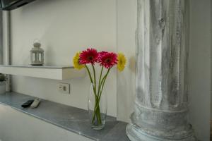 Fotografie z fotogalerie ubytování JR Luxury Guesthouse ve Splitu