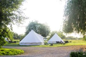 two white tents in a field with trees at Oxford Riverside Glamping in Oxford