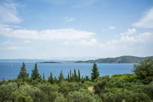 a view of a large body of water with trees at Captain's Attic in Račišće