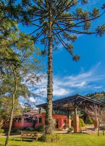 un parque con un banco y un árbol en Pousada Rosa, en Gramado