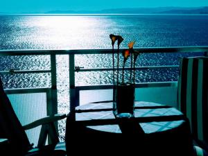 two birds standing in a vase on a ship at apartamento junto al mar in Cullera