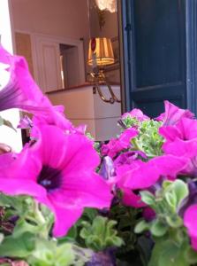 un grupo de flores rosas delante de una puerta en Ena Hotel, en Arenzano