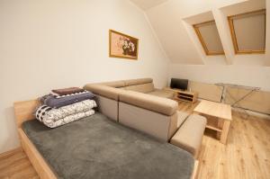 a living room with a couch and a tv at Wonderful flat on city center (Mukachivska 4/15) in Uzhhorod