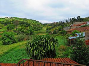 una casa su una collina con una pianta di Casa Eira do Povo 1 a Vale de Colmeias Altre 27 foto