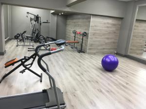 un gimnasio con equipamiento de ejercicio y una bola púrpura en Studios Asteria, en Loutra Edipsou