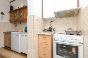 Kuchyň nebo kuchyňský kout v ubytování Apartments Luka