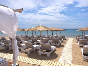 Gallery image of Amaryllis Beach Hotel in Chrissi Akti