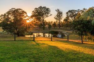 a sunset over a park with trees and a pond at Country House Retreat in Nungurner