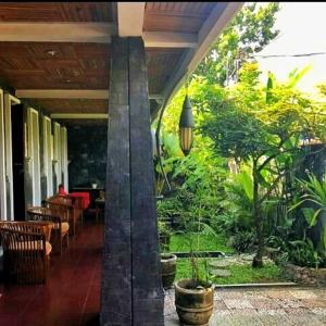 a porch of a house with trees and plants at Puri Minggiran Guest House in Yogyakarta