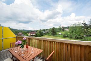 Balkón nebo terasa v ubytování Apartmány Tina a Zdenka - Stožec