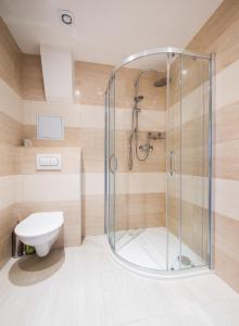 ein Bad mit einer Dusche und einem WC in der Unterkunft Apartmány Tina a Zdenka - Stožec in Stožec