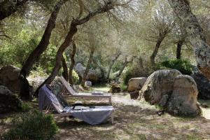 a bench and a chair in a forest with trees at San Giovanni in Porto-Vecchio
