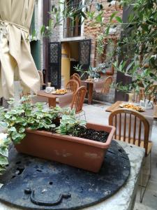 a garden area with plants and a bench at Locanda La Corte in Venice