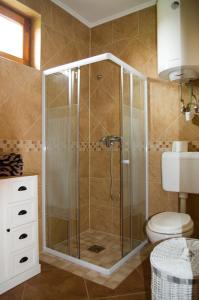 een badkamer met een douche, toilet en wastafel bij s'Schnoganeschd in Nemesvid