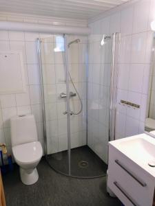 a bathroom with a shower and a toilet and a sink at Hogstul Hytter - Apartment North in Tuddal