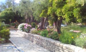 A garden outside Villa Elvira