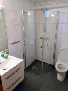 a bathroom with a shower with a toilet and a sink at Hogstul Hytter - Apartment South in Tuddal