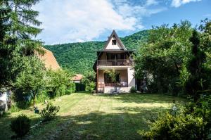 a house in the middle of a yard at Tamaris Holiday Home in Visoko