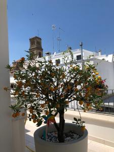 Galeriebild der Unterkunft Palazzotto "Fasano Antica" in Fasano