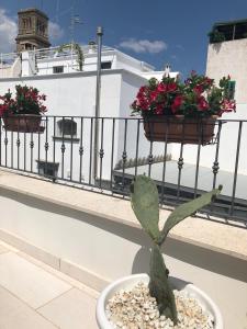 Galeriebild der Unterkunft Palazzotto "Fasano Antica" in Fasano