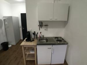 eine Küche mit einer Spüle und einer Arbeitsplatte in der Unterkunft Living @ Klassvilla Weserwehr No. 4 in Bremen