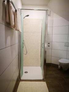 una doccia con porta in vetro in bagno di Hotel Restaurant zum Schwan a Schwanberg