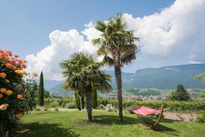 a hammock in a garden with two palm trees at Villa Raifer in Appiano sulla Strada del Vino