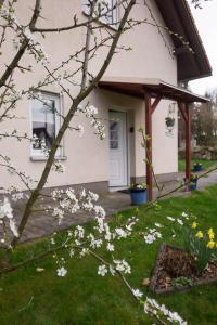 einem blühenden Baum vor einem Haus in der Unterkunft Am Zirkelstein 38 b in Schöna