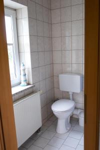 a bathroom with a toilet and a window at Am Zirkelstein 38 b in Schöna +6 photos