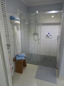 ein Badezimmer mit Dusche und blauen Handtüchern in der Unterkunft Cottage Ferienwohnung mit Seeblick in Caputh + 31 Fotos