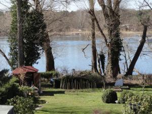 a view of a river with trees and a body of water at Cottage Ferienwohnung mit Seeblick in Caputh