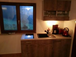 a kitchen counter with a sink and a window at Ferienhaus Moosbachtal Thüringer Wald bei Oberhof in Rotterode