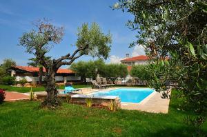ein Schwimmbad in einem Hof neben einem Haus in der Unterkunft Holiday home Sverko in Novigrad Istria