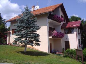 a house with a pine tree in front of it at Guesthouse Hodak in Seliste Dreznicko