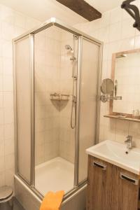 ein Bad mit einer Dusche und einem Waschbecken in der Unterkunft Hotel Garni Mühlenhof in Wusterhausen