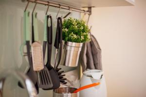 een plant in een pot hangend aan een muur met keukengerei bij Apartment 63 - 2 in Zagreb